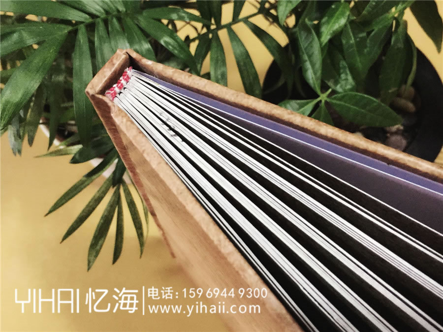 陳氏個性圖文家譜-個性創(chuàng)意族譜設計制作