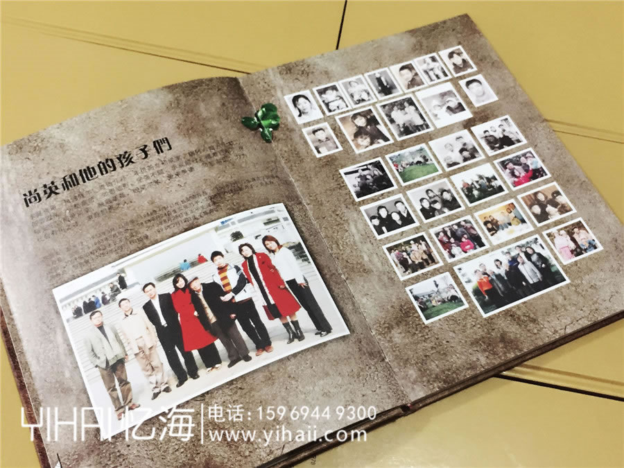 陳氏個性圖文家譜-個性創(chuàng)意族譜設計制作