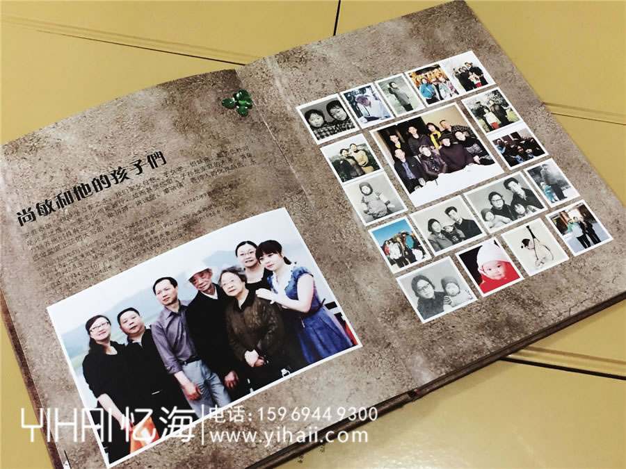 陳氏個性圖文家譜-個性創(chuàng)意族譜設計制作