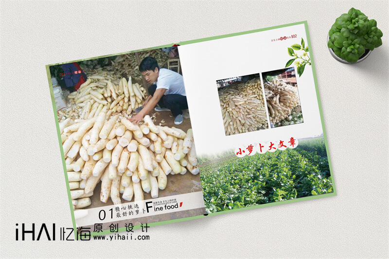 土特產(chǎn)精裝宣傳畫冊設(shè)計(jì)制作