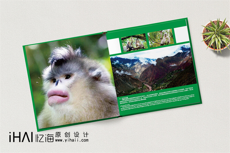 野生動物保護精裝宣傳冊設計制作