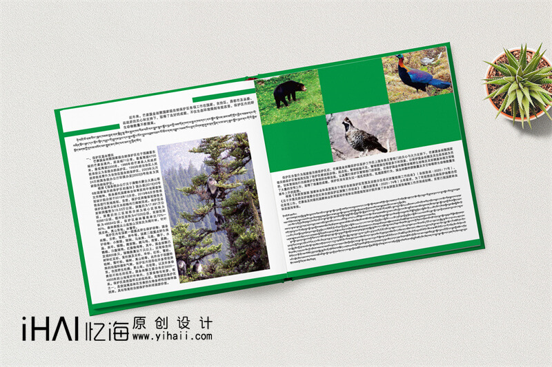 野生動物保護精裝宣傳冊設計制作