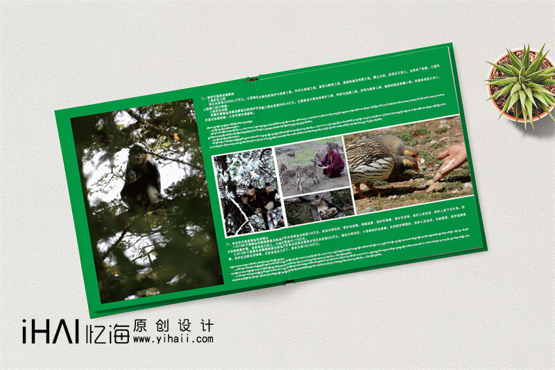 野生動物保護精裝宣傳冊設計制作