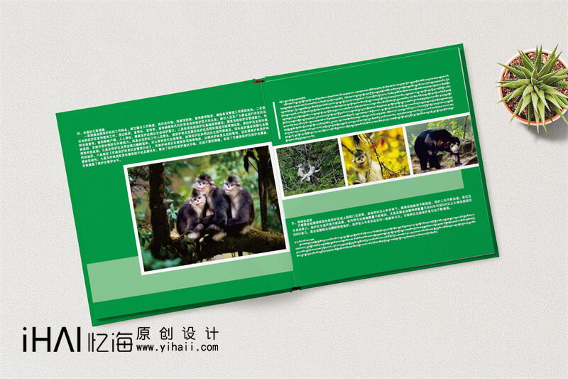 野生動物保護精裝宣傳冊設計制作