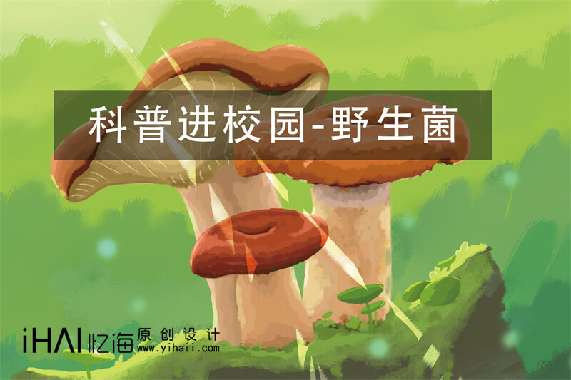 野生菌科普進(jìn)校園精裝宣傳畫(huà)冊(cè)制作