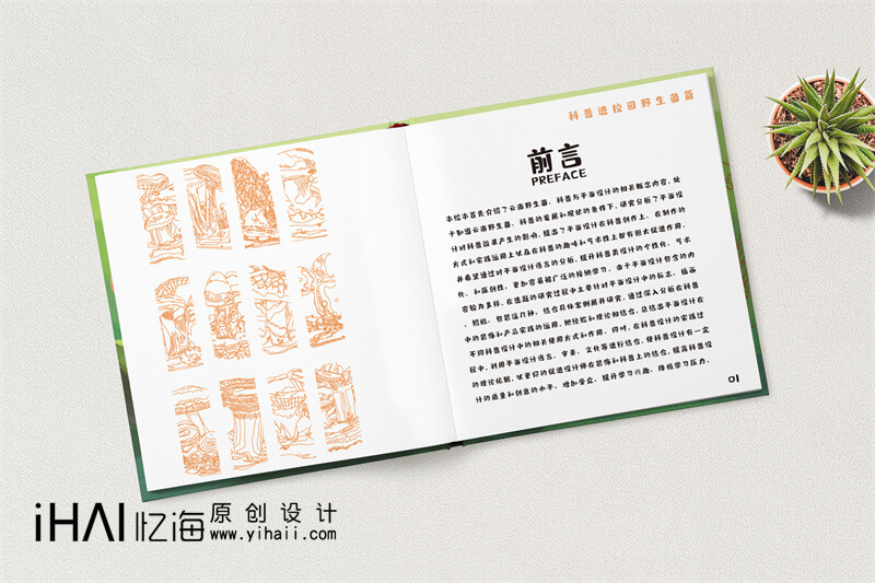 野生菌科普宣傳畫(huà)冊(cè)定制