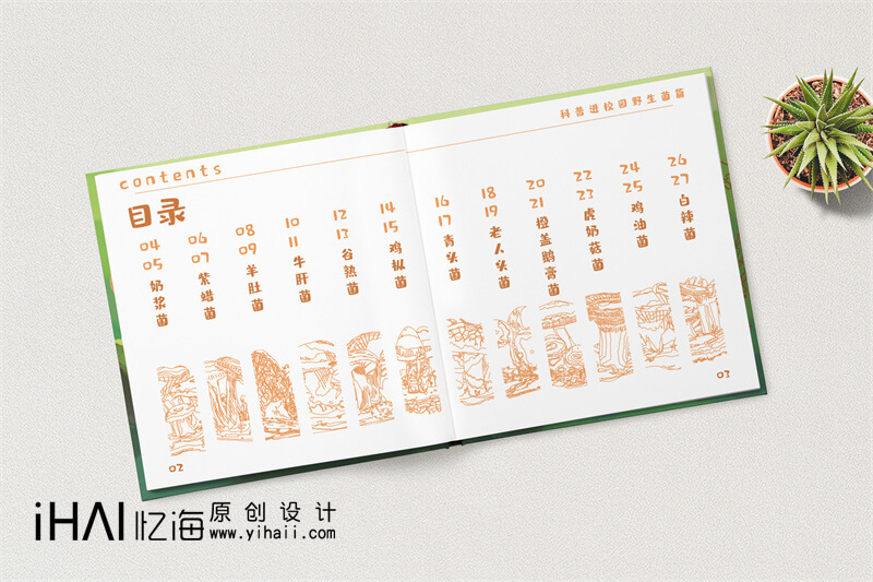 云南野生菌科普宣傳畫(huà)冊(cè)