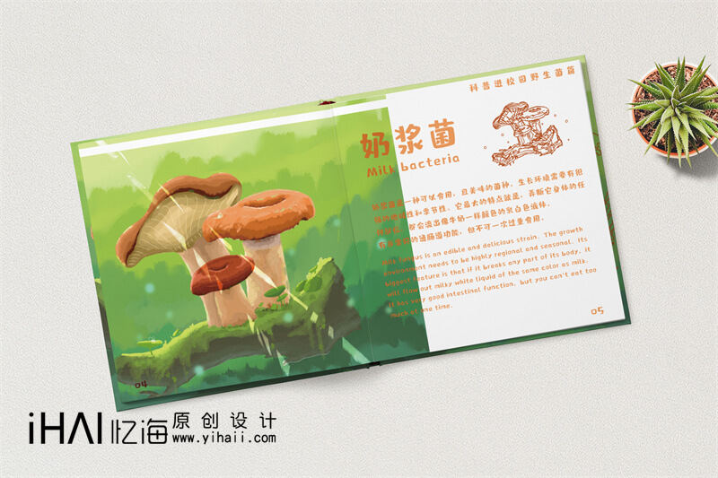 野生菌科普宣傳畫(huà)冊(cè)設(shè)計(jì)定制