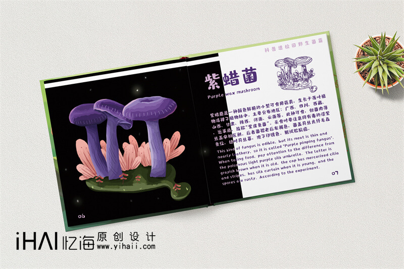 野生菌科普進(jìn)校園精裝宣傳畫(huà)冊(cè)制作