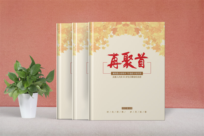 初中同學(xué)畢業(yè)紀(jì)念冊(cè)設(shè)計(jì)制作-共續(xù)同學(xué)情