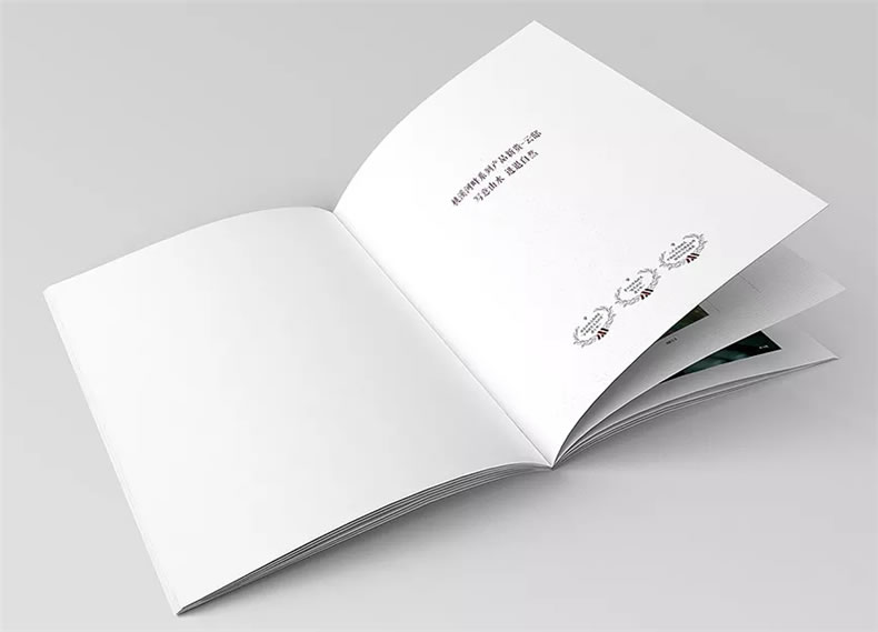 設(shè)計(jì)地產(chǎn)樓書(shū)一般多少錢(qián)1p-樓書(shū)設(shè)計(jì)價(jià)格是多少-地產(chǎn)畫(huà)冊(cè)收費(fèi)標(biāo)準(zhǔn)