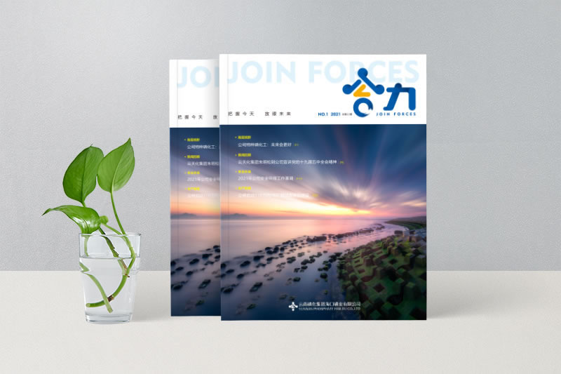 云南磷化集團(tuán)海口磷業(yè)有限公司-期刊設(shè)計(jì)制
