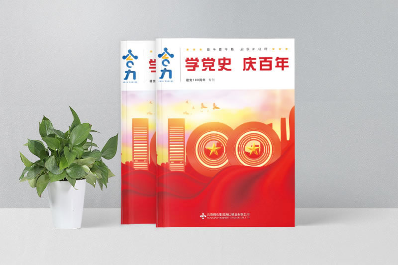 ?？诹谆瘧c黨100周年企業(yè)期刊畫冊(cè)