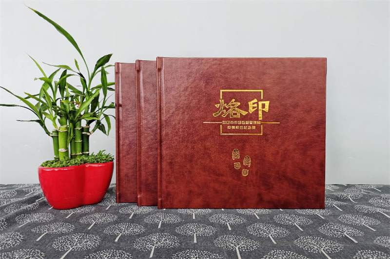 抗擊疫情防控紀(jì)念冊設(shè)計(jì)制作-致敬抗疫新冠英雄紀(jì)念冊