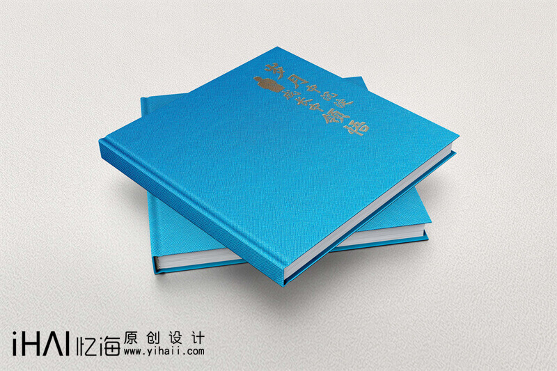 領(lǐng)導工作視察紀念冊制作