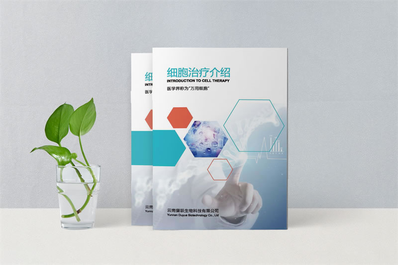 昆明企業(yè)宣傳畫冊(cè)制作-公司宣傳畫冊(cè)定制-生物科技公司畫冊(cè)設(shè)計(jì)