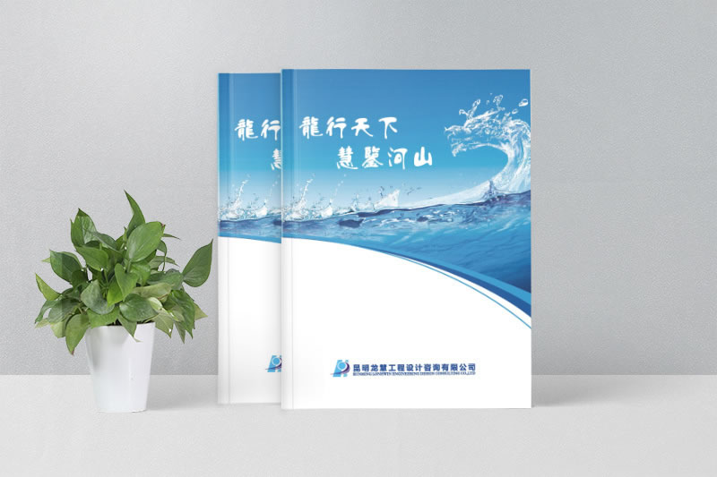 企業(yè)畫(huà)冊(cè)設(shè)計(jì)為什么要專業(yè)的畫(huà)冊(cè)制作公司來(lái)設(shè)計(jì)