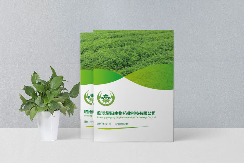 企業(yè)畫冊定制設(shè)計(jì)-臨滄生物科技畫冊制作