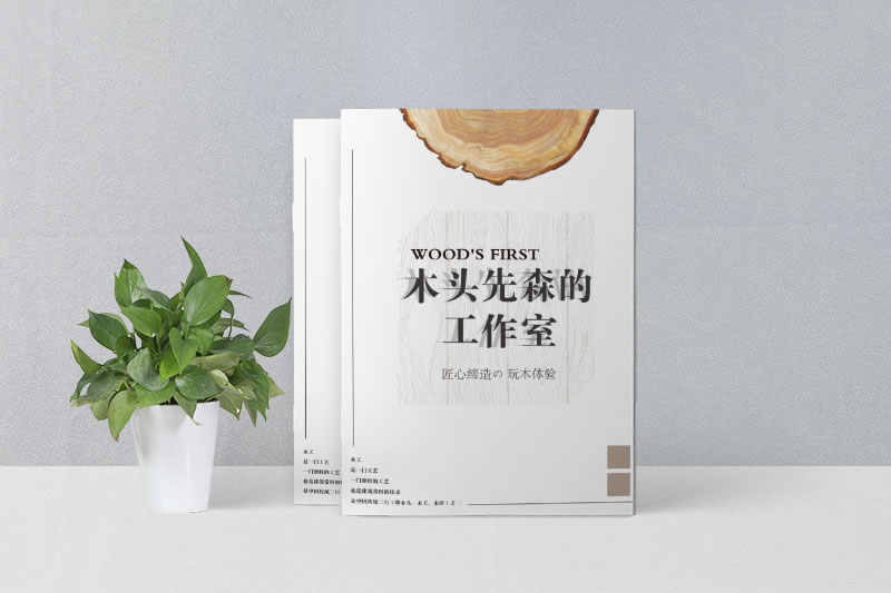 木業(yè)雕刻宣傳畫冊(cè)設(shè)計(jì)一工作室畫冊(cè)制作