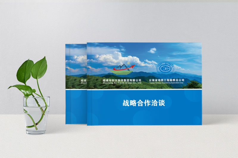戰(zhàn)略合作洽談畫冊(cè)制作-商業(yè)合作畫冊(cè)設(shè)計(jì)