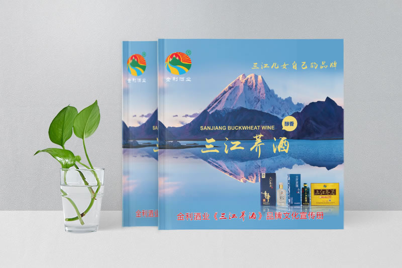 創(chuàng)意中小企業(yè)宣傳畫冊(cè)定制-打造獨(dú)特品牌形象的設(shè)計(jì)之道
