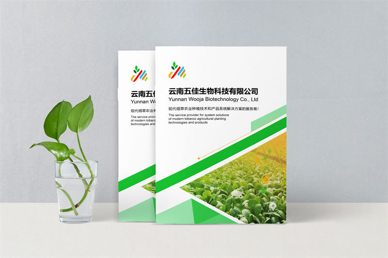 企業(yè)品牌宣傳畫冊(cè)定制設(shè)計(jì)-打造企業(yè)獨(dú)特的視覺形象