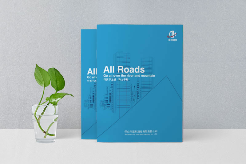 公司宣傳畫(huà)冊(cè)設(shè)計(jì)制作-企業(yè)宣傳畫(huà)冊(cè)設(shè)計(jì)報(bào)價(jià)