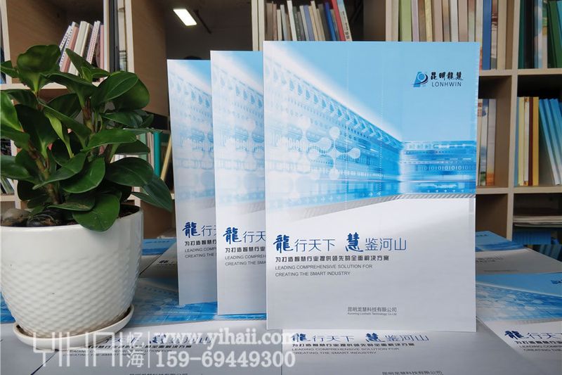 公司宣傳畫(huà)冊(cè)設(shè)計(jì)制作-昆明企業(yè)宣傳冊(cè)定制