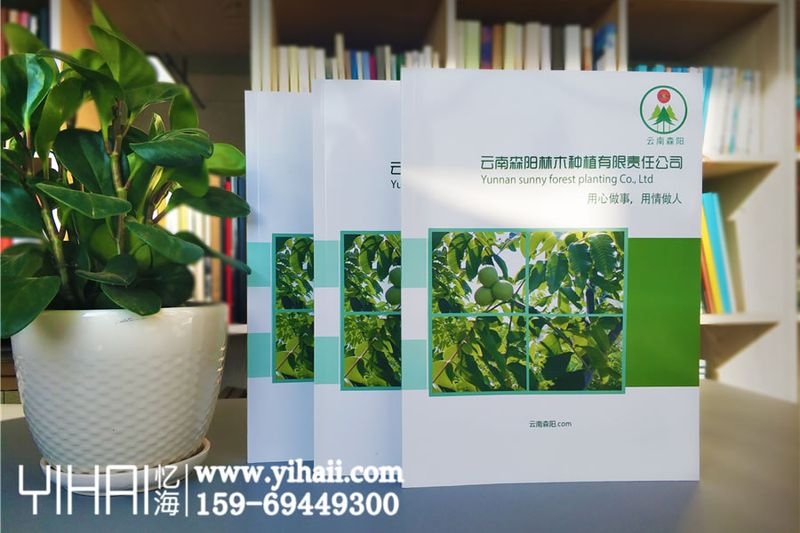 林木種植企業(yè)宣傳冊(cè)設(shè)計(jì)制作-昆明企業(yè)宣傳冊(cè)設(shè)計(jì)公司