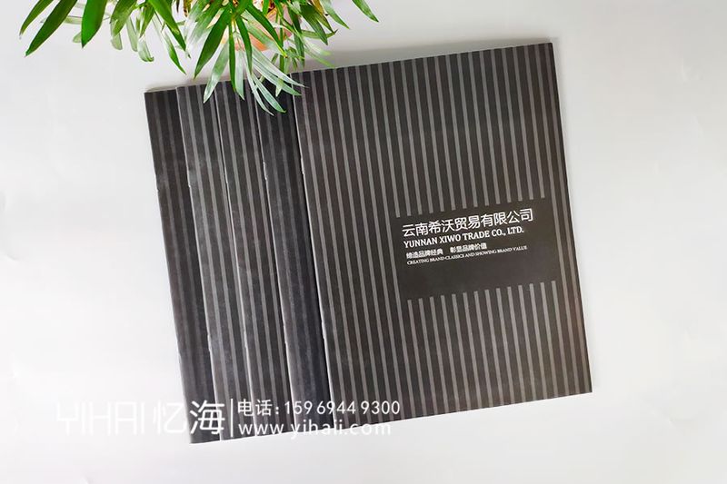企業(yè)畫(huà)冊(cè)封面設(shè)計(jì)制作-定制企業(yè)宣傳畫(huà)冊(cè)