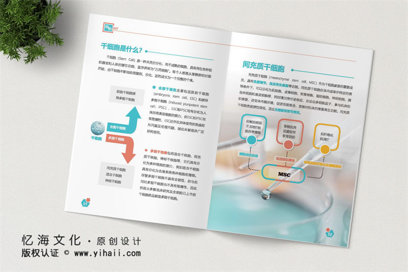 昆明憶海文化昆明企業(yè)宣傳畫冊制作-公司宣傳畫冊定制-生物科技公司畫冊設(shè)計