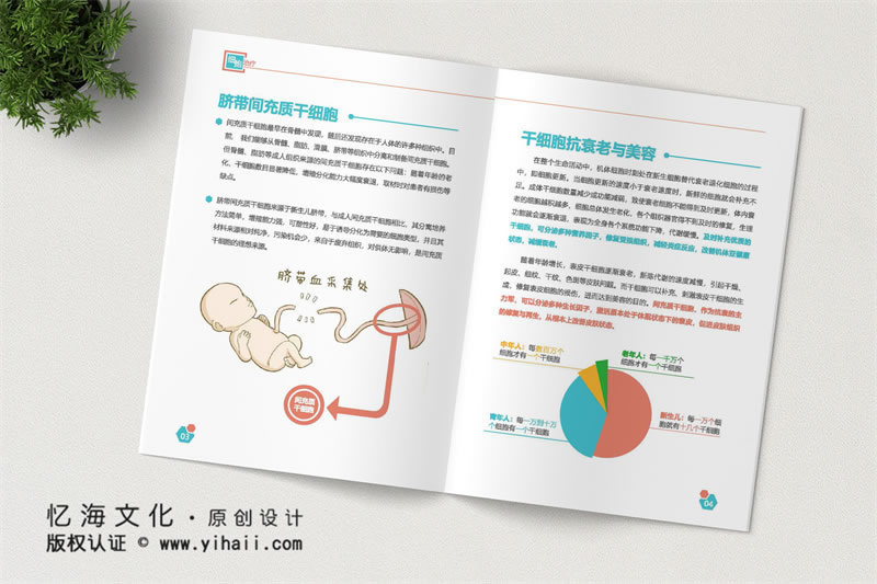 昆明憶海文化昆明企業(yè)宣傳畫冊制作-公司宣傳畫冊定制-生物科技公司畫冊設(shè)計