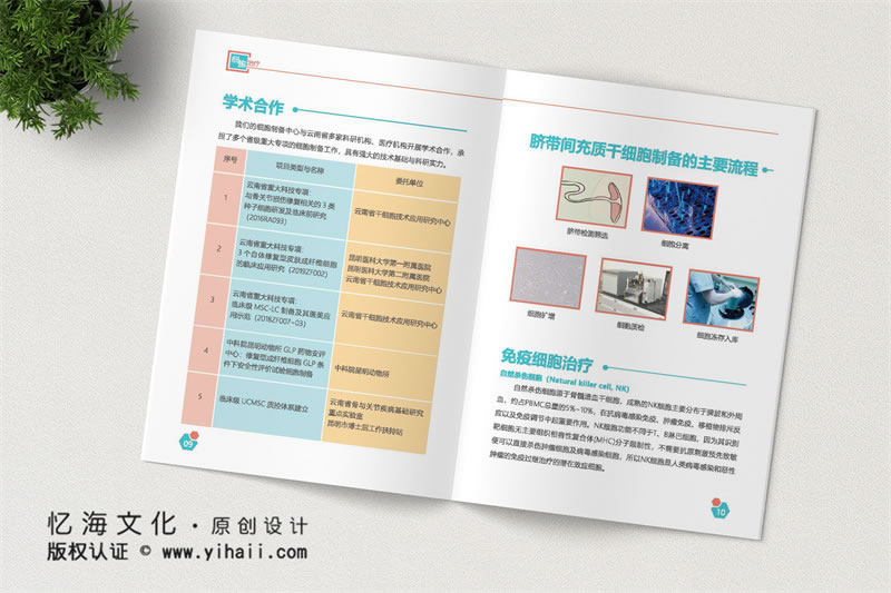 昆明憶海文化昆明企業(yè)宣傳畫冊制作-公司宣傳畫冊定制-生物科技公司畫冊設(shè)計