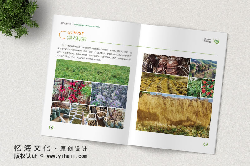 昆明憶海文化-企業(yè)畫(huà)冊(cè)定制設(shè)計(jì)-臨滄生物科技畫(huà)冊(cè)制作