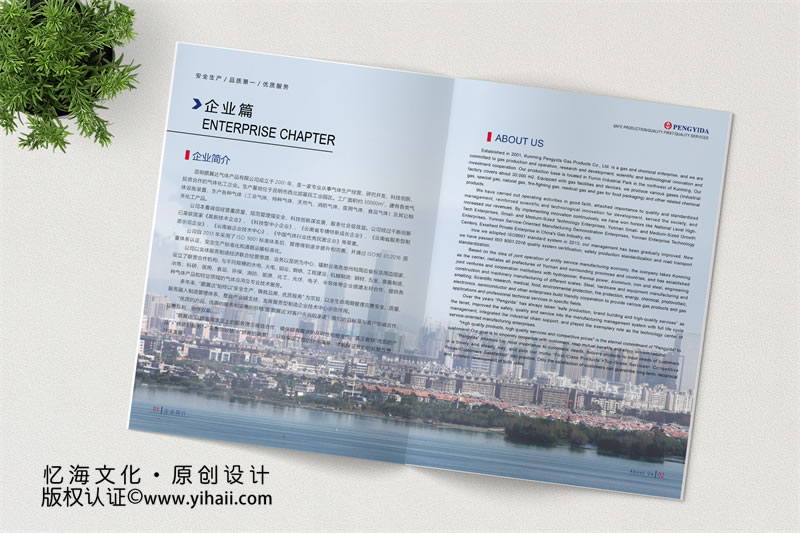 企業(yè)宣傳畫冊設(shè)計-昆明氣體公司畫冊制作