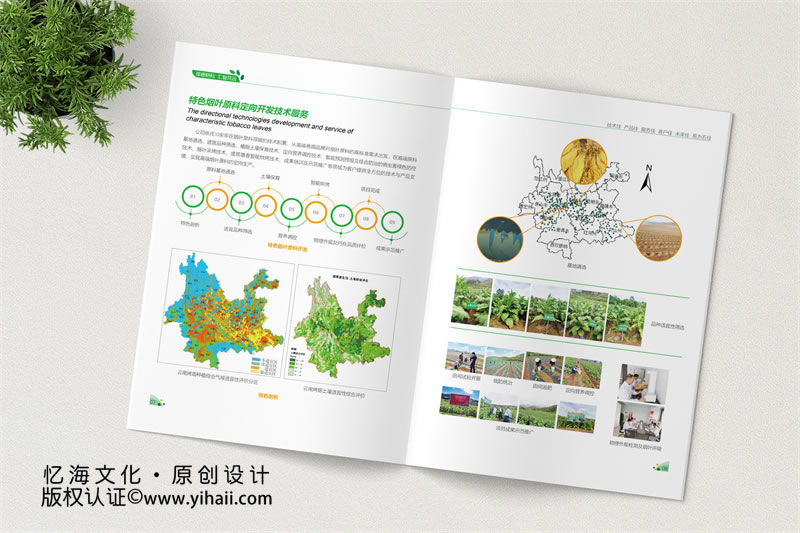 綠色農(nóng)業(yè)畫冊制作