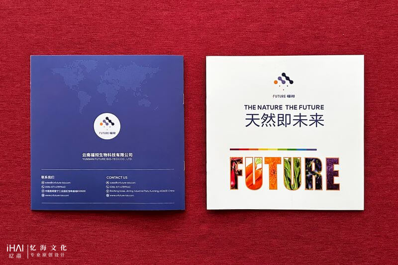 企業(yè)宣傳畫冊定制