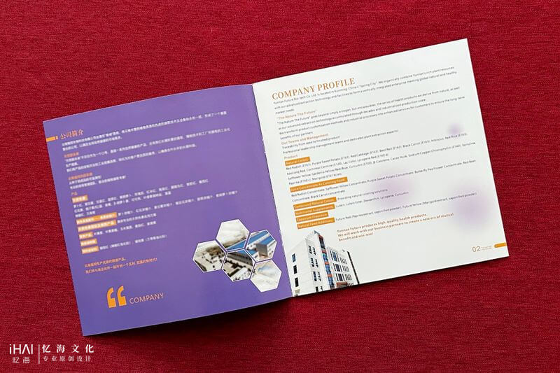 企業(yè)宣傳畫冊設(shè)計(jì)定制