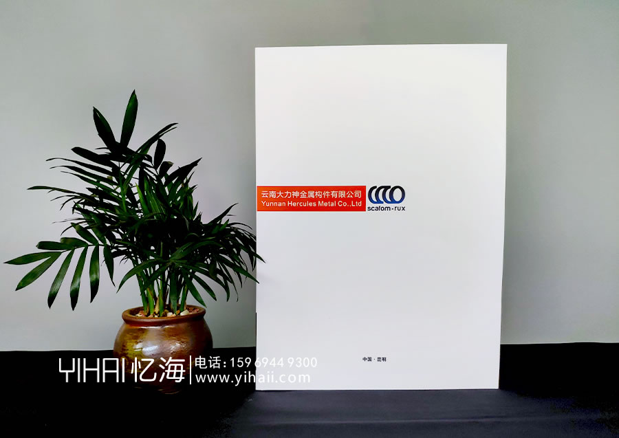 【云南大力神金屬構(gòu)件有限公司】企業(yè)宣傳冊(cè)