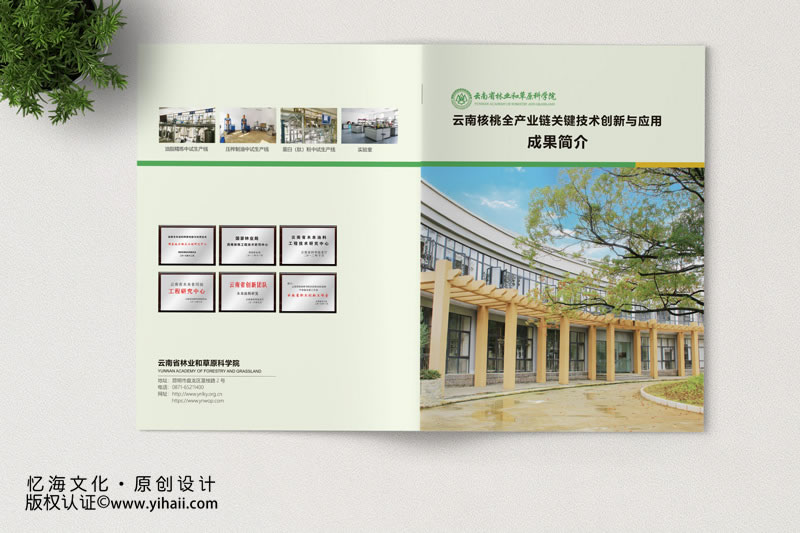 【云南省林業(yè)和草原科學(xué)院】核桃生產(chǎn)鏈關(guān)鍵創(chuàng)新與應(yīng)用成果介紹