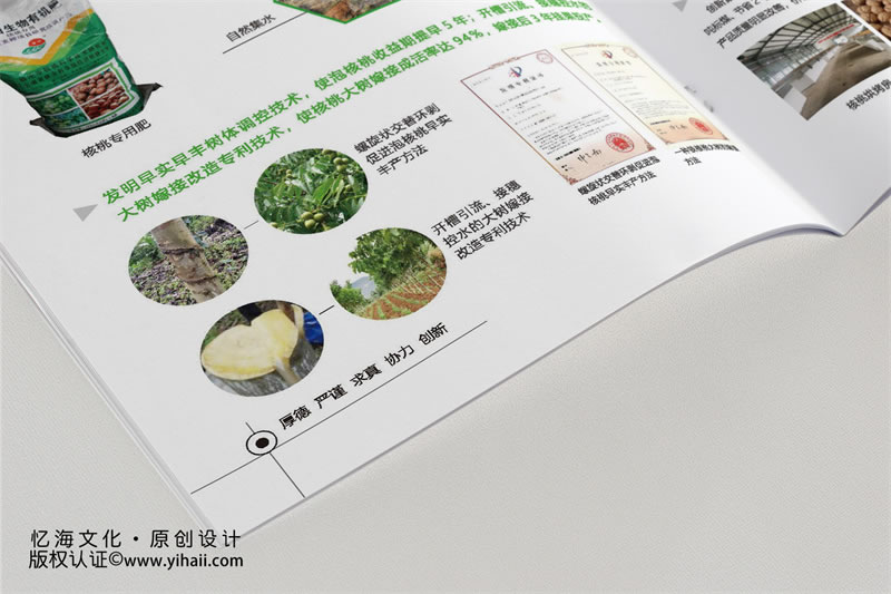 【云南省林業(yè)和草原科學(xué)院】核桃生產(chǎn)鏈關(guān)鍵創(chuàng)新與應(yīng)用成果介紹