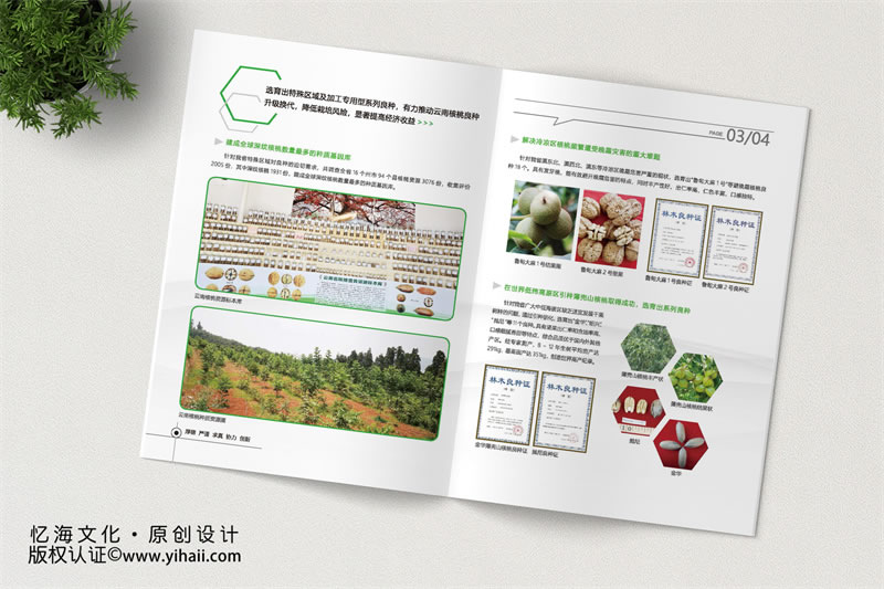 【云南省林業(yè)和草原科學(xué)院】核桃生產(chǎn)鏈關(guān)鍵創(chuàng)新與應(yīng)用成果介紹