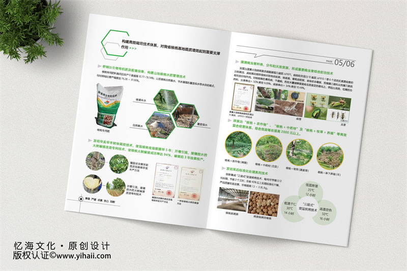 【云南省林業(yè)和草原科學(xué)院】核桃生產(chǎn)鏈關(guān)鍵創(chuàng)新與應(yīng)用成果介紹