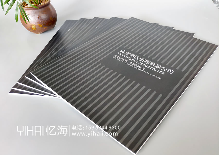 憶海文化云南西沃貿易有限公司企業(yè)宣傳冊設計