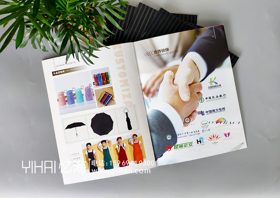 憶海文化云南西沃貿易有限公司企業(yè)宣傳冊設計