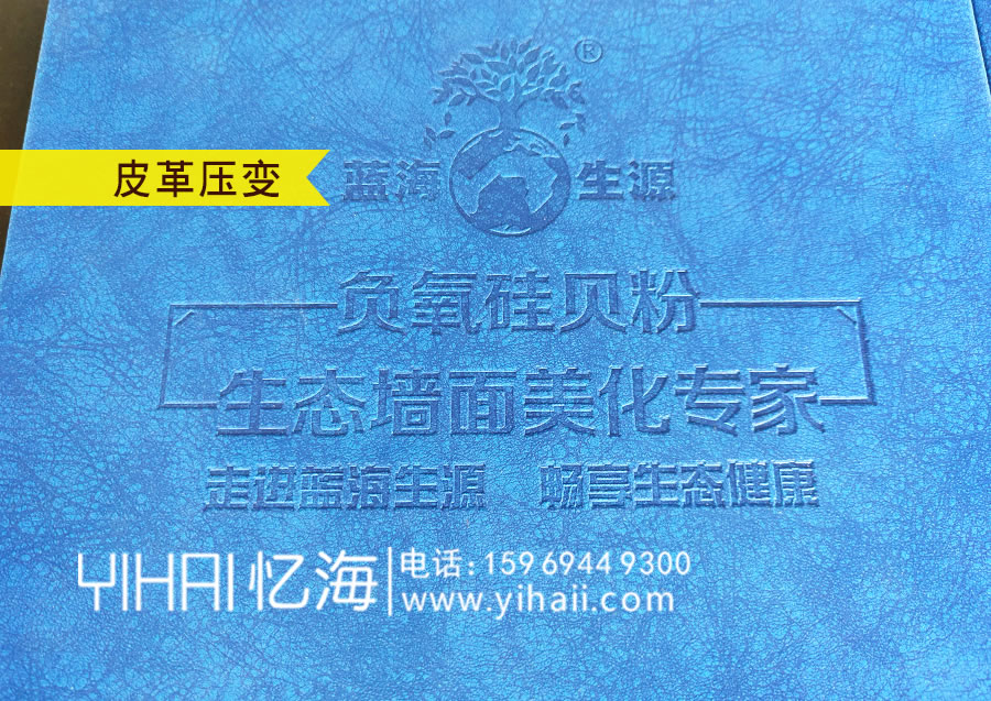 昆明憶海文化藍(lán)海生源標(biāo)準(zhǔn)色卡設(shè)計制作