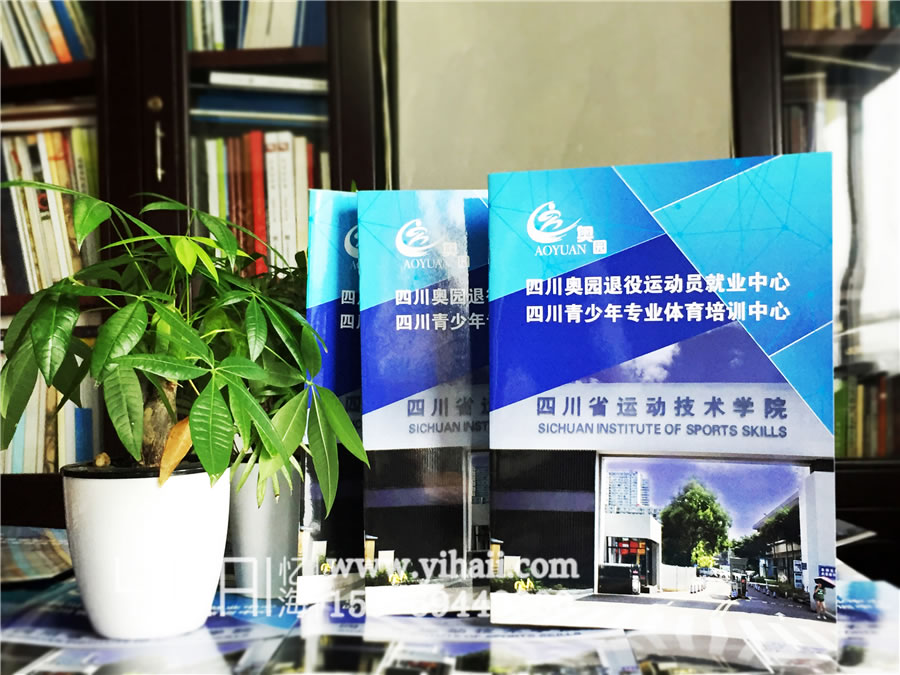 企業(yè)宣傳冊設計-憶海給你一個全新的想法